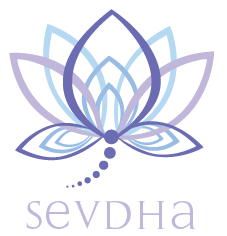 Sevdha Bollywood & Belly Dance Costumes