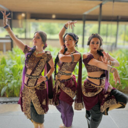 bollywood indian dance group florida atlanta los angeles sevdha12