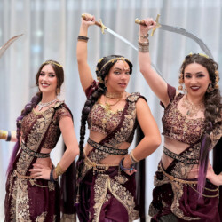 bollywood indian dance group florida atlanta los angeles sevdha13